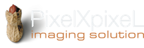 PixelXpixeL