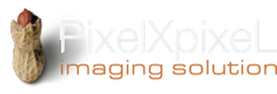 PixelXpixeL